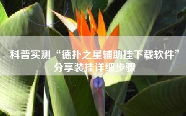 科普实测“德扑之星辅助挂下载软件”分享装挂详细步骤