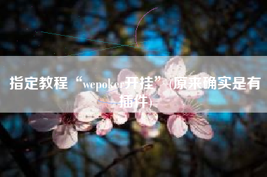 指定教程“wepoker开挂”(原来确实是有插件)