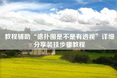 教程辅助“德扑圈是不是有透视”详细分享装挂步骤教程