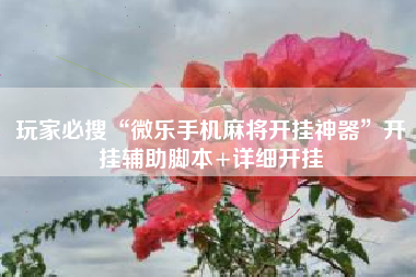 玩家必搜“微乐手机麻将开挂神器”开挂辅助脚本+详细开挂
