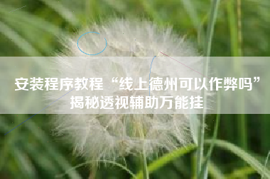 安装程序教程“线上德州可以作弊吗”揭秘透视辅助万能挂