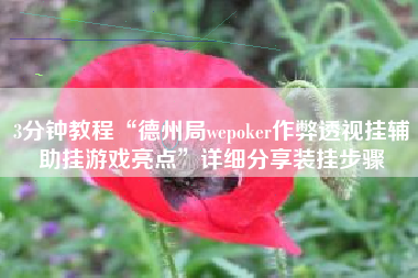 3分钟教程“德州局wepoker作弊透视挂辅助挂游戏亮点”详细分享装挂步骤