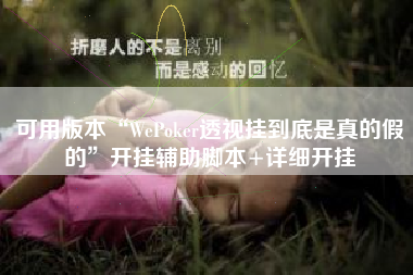 可用版本“WePoker透视挂到底是真的假的”开挂辅助脚本+详细开挂
