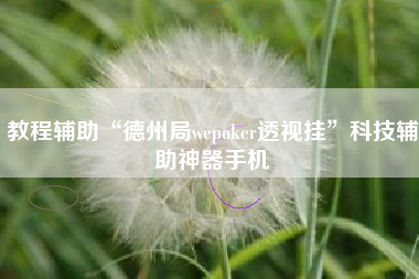 教程辅助“德州局wepoker透视挂”科技辅助神器手机
