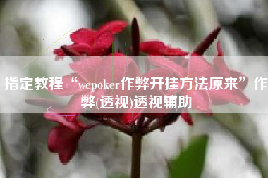 指定教程“wepoker作弊开挂方法原来”作弊(透视)透视辅助