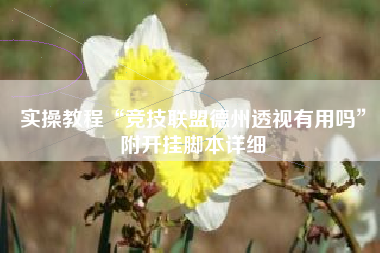 实操教程“竞技联盟德州透视有用吗”附开挂脚本详细