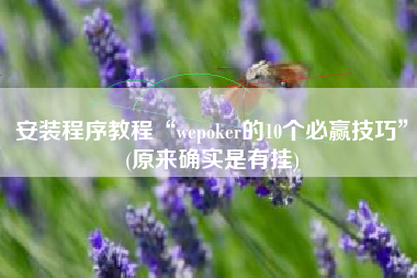 安装程序教程“wepoker的10个必赢技巧”(原来确实是有挂)