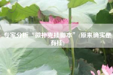 专家分析“微扑克挂脚本”(原来确实是有挂) 专家分析“微扑克挂脚本”(原来确实是有挂)