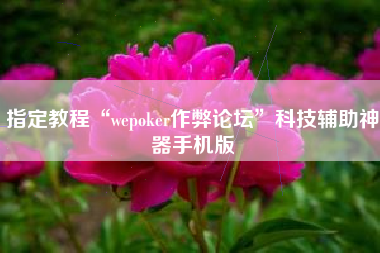 指定教程“wepoker作弊论坛”科技辅助神器手机版 指定教程“wepoker作弊论坛”科技辅助神器手机版