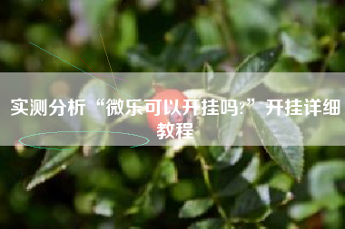 实测分析“微乐可以开挂吗?”开挂详细教程 实测分析“微乐可以开挂吗?”开挂详细教程
