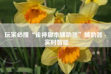 玩家必搜“雀神脚本辅助器”辅助器 - 实时智能 玩家必搜“雀神脚本辅助器”辅助器 - 实时智能