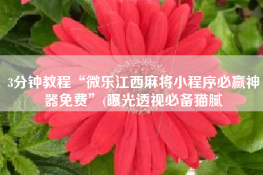 3分钟教程“微乐江西麻将小程序必赢神器免费”(曝光透视必备猫腻