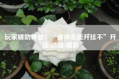 玩家辅助神器：“雀神会能开挂不”开挂(透视)辅助