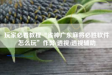 玩家必看教程“雀神广东麻将必胜软件怎么玩”作弊(透视)透视辅助