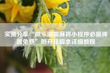 实测分享“微乐湖南麻将小程序必赢神器免费”附开挂脚本详细教程 实测分享“微乐湖南麻将小程序必赢神器免费”附开挂脚本详细教程