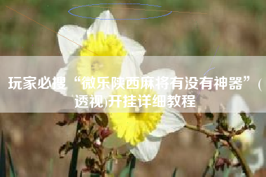 玩家必搜“微乐陕西麻将有没有神器”(透视)开挂详细教程
