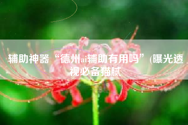 辅助神器“德州ai辅助有用吗”(曝光透视必备猫腻