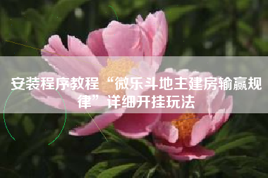 安装程序教程“微乐斗地主建房输赢规律”详细开挂玩法