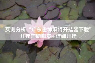 实测分析“广东雀神麻将开挂器下载”开挂辅助脚本+详细开挂 实测分析“广东雀神麻将开挂器下载”开挂辅助脚本+详细开挂