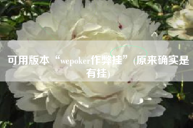 可用版本“wepoker作弊挂”(原来确实是有挂) 可用版本“wepoker作弊挂”(原来确实是有挂)