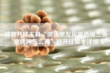 辅助开挂工具“微乐亲友房能透视三张底牌吗怎么弄”附开挂脚本详细