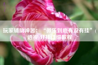 玩家辅助神器：“微乐到底有没有挂”(透视)开挂详细教程