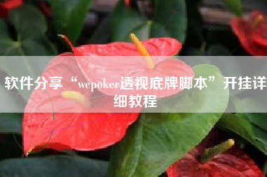 软件分享“wepoker透视底牌脚本”开挂详细教程
