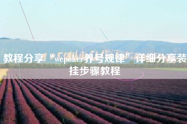 教程分享“wepoker养号规律”详细分享装挂步骤教程