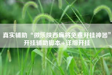 真实辅助“微乐陕西麻将免费开挂神器”开挂辅助脚本+详细开挂