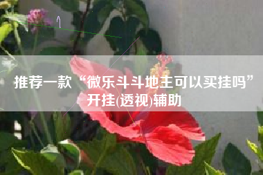 推荐一款“微乐斗斗地主可以买挂吗”开挂(透视)辅助