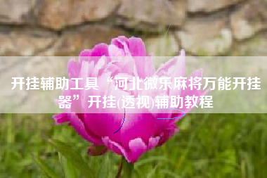 开挂辅助工具“河北微乐麻将万能开挂器”开挂(透视)辅助教程 开挂辅助工具“河北微乐麻将万能开挂器”开挂(透视)辅助教程