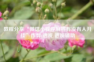 教程分享“微信小程序麻将有没有人开挂”作弊(透视)透视辅助