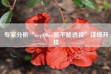 专家分析“wepOKer能不能透视”详细开挂