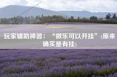 玩家辅助神器：“微乐可以开挂”(原来确实是有挂)