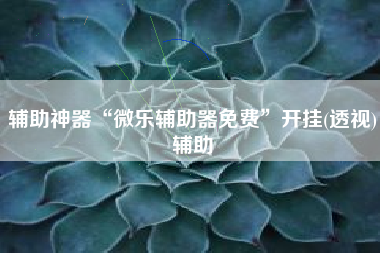 辅助神器“微乐辅助器免费”开挂(透视)辅助