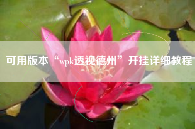 可用版本“wpk透视德州”开挂详细教程 可用版本“wpk透视德州”开挂详细教程