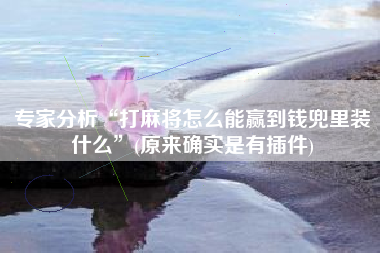 专家分析“打麻将怎么能赢到钱兜里装什么”(原来确实是有插件) 专家分析“打麻将怎么能赢到钱兜里装什么”(原来确实是有插件)