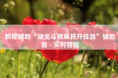 教程辅助“湖北斗棋麻将开挂器”辅助器 - 实时智能