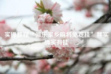 实操教程“微乐家乡麻将免费挂”其实确实有挂 实操教程“微乐家乡麻将免费挂”其实确实有挂