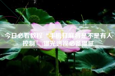 今日必看教程“手机打麻将是不是有人控制”(曝光透视必备猫腻