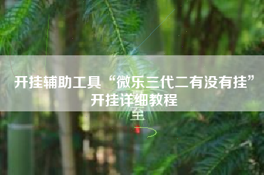 开挂辅助工具“微乐三代二有没有挂”开挂详细教程 开挂辅助工具“微乐三代二有没有挂”开挂详细教程