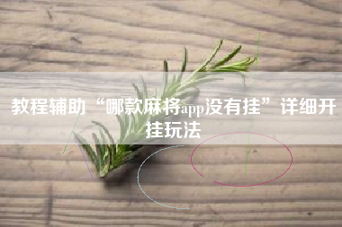 教程辅助“哪款麻将app没有挂”详细开挂玩法