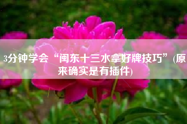 3分钟学会“闽东十三水拿好牌技巧”(原来确实是有插件)