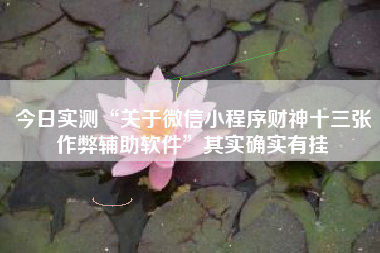 今日实测“关于微信小程序财神十三张作弊辅助软件”其实确实有挂