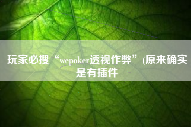 玩家必搜“wepoker透视作弊”(原来确实是有插件 玩家必搜“wepoker透视作弊”(原来确实是有插件