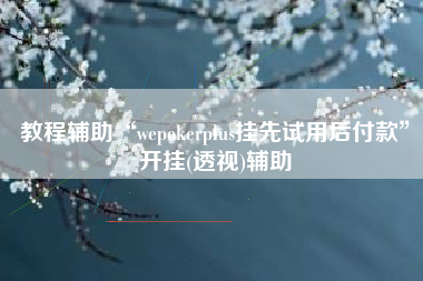 教程辅助“wepokerplus挂先试用后付款”开挂(透视)辅助