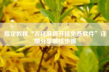 指定教程“吉祥麻将开挂免费软件”详细分享装挂步骤