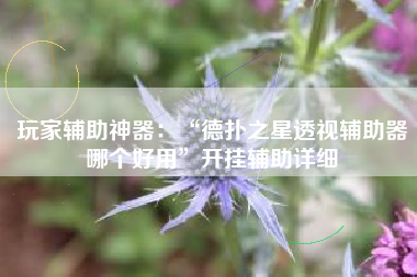 玩家辅助神器：“德扑之星透视辅助器哪个好用”开挂辅助详细