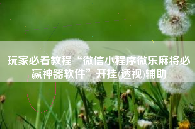 玩家必看教程“微信小程序微乐麻将必赢神器软件”开挂(透视)辅助