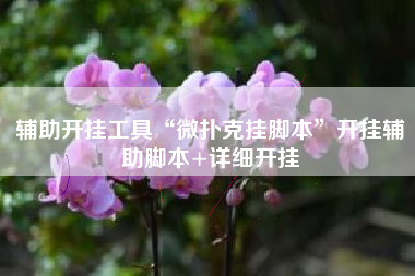 辅助开挂工具“微扑克挂脚本”开挂辅助脚本+详细开挂